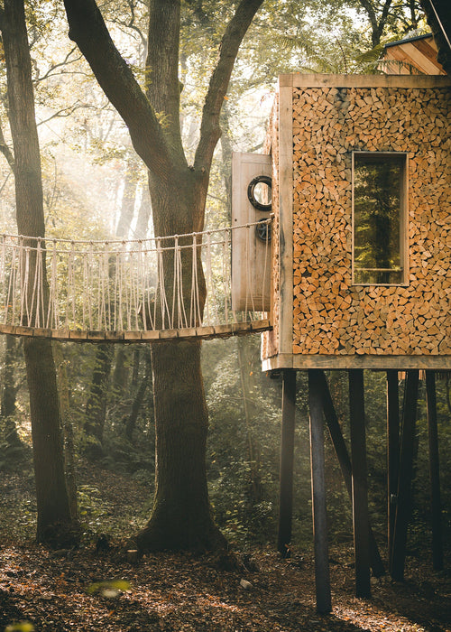 The Forest Pavilion