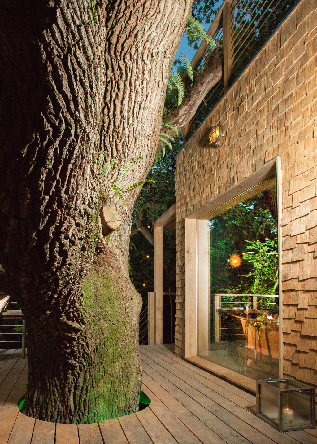 The Forest Pavilion