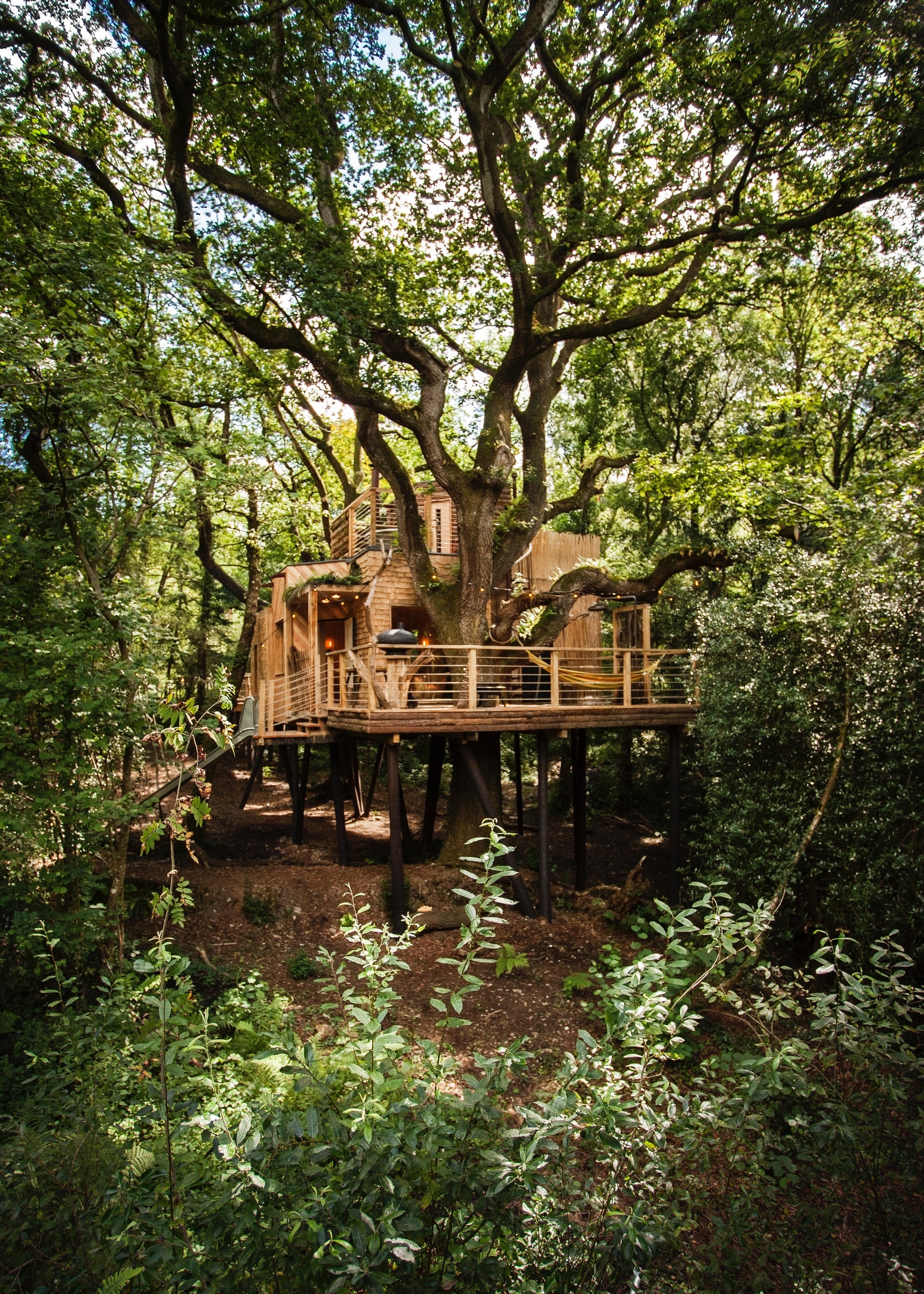 The Forest Pavilion