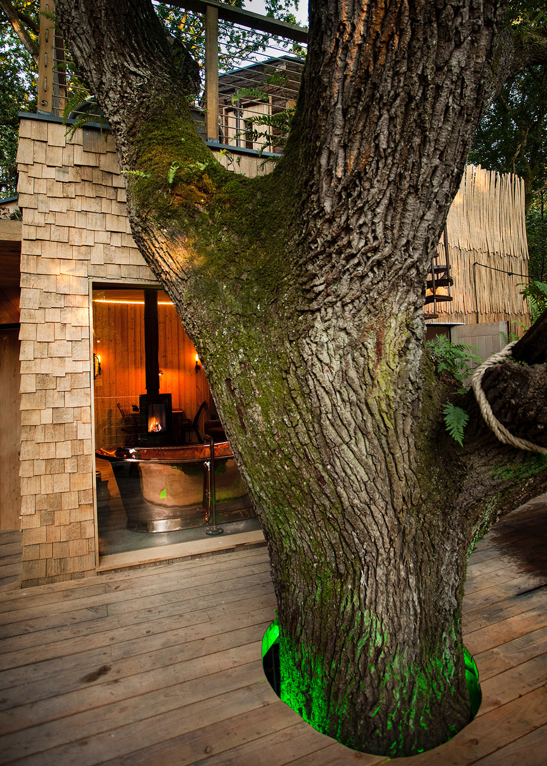 The Forest Pavilion