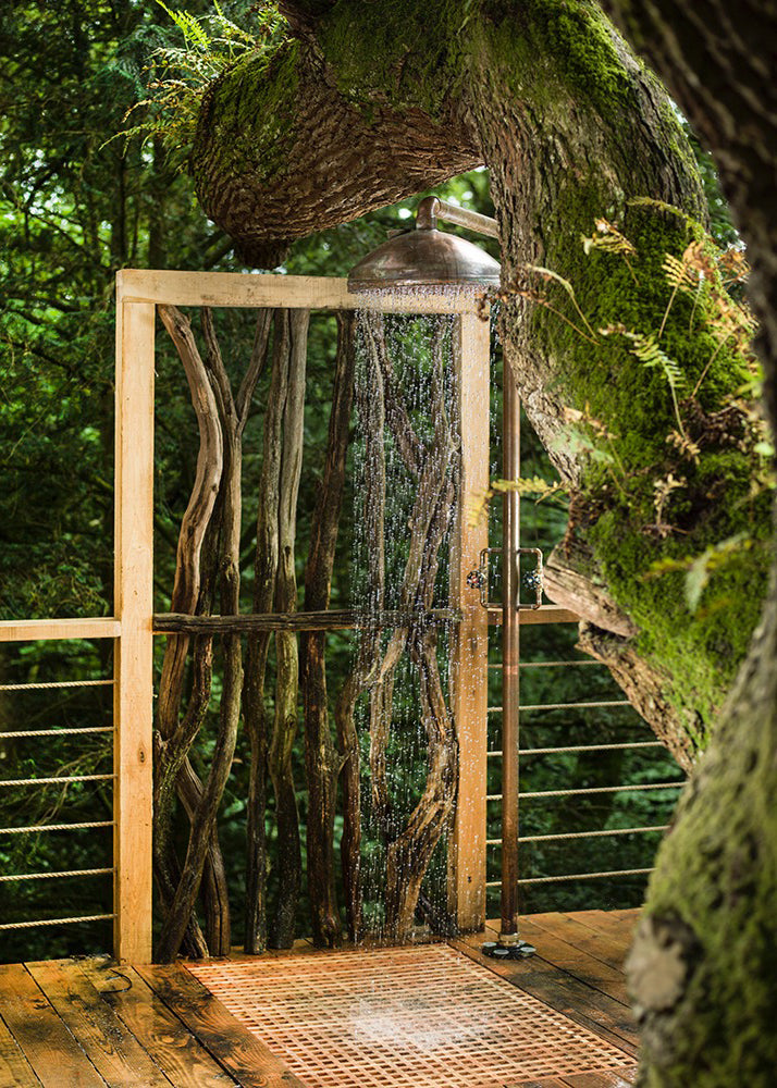 The Forest Pavilion