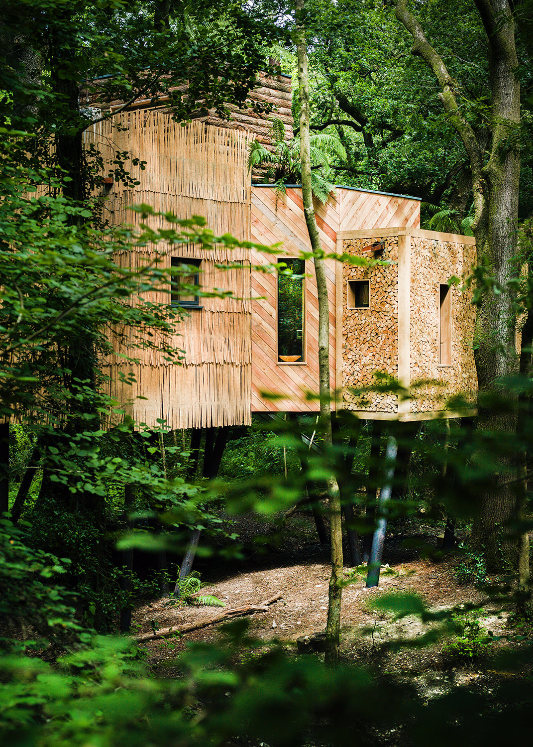 The Forest Pavilion